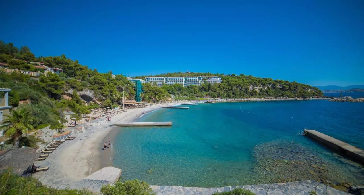 پاین بی هالیدی ریزورت